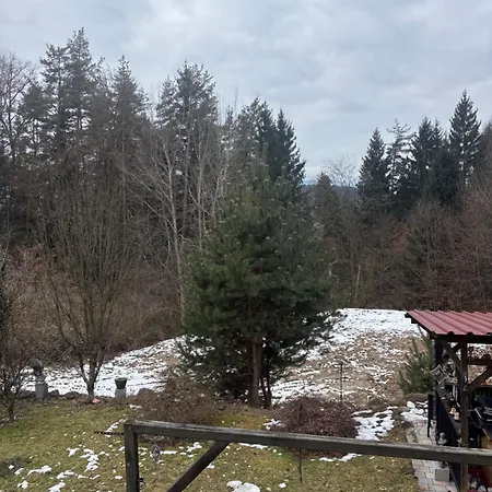 Wohnwagen Velden Am Woerthersee Camping