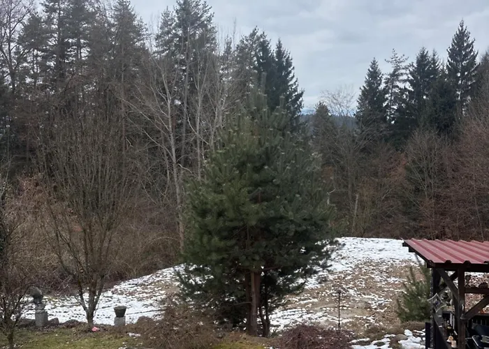 Wohnwagen Velden Am Woerthersee Camping